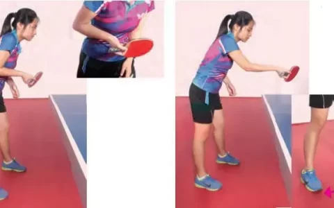 乒乓球快速入门方法（乒乓球快速入门基础牢固！6种基础接法+手臂力量训练法！-国球汇乒乓球快速入门方法）