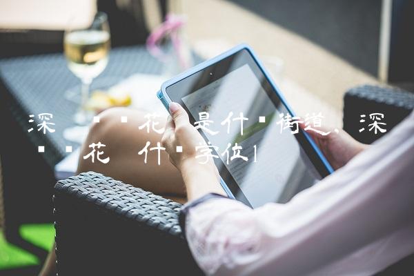 深圳创业花园是什么街道,深圳创业花园什么学位