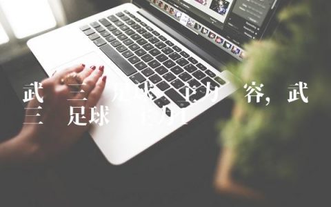 武汉三镇足球队主力阵容,武汉三镇足球队主力