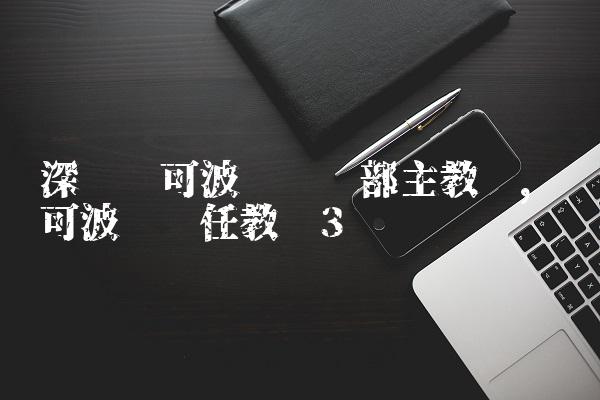 深圳马可波罗俱乐部主教练,马可波罗现任教练