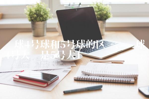 篮球4号球和5号球的区别,篮球4号大还是5号大