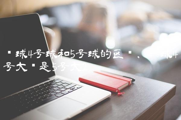 篮球4号球和5号球的区别,篮球4号大还是5号大