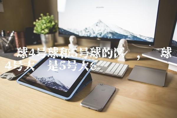 篮球4号球和5号球的区别,篮球4号大还是5号大