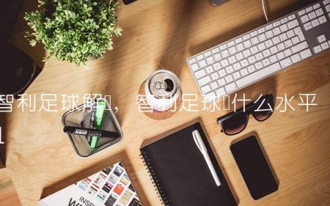 智利足球解说,智利足球队什么水平