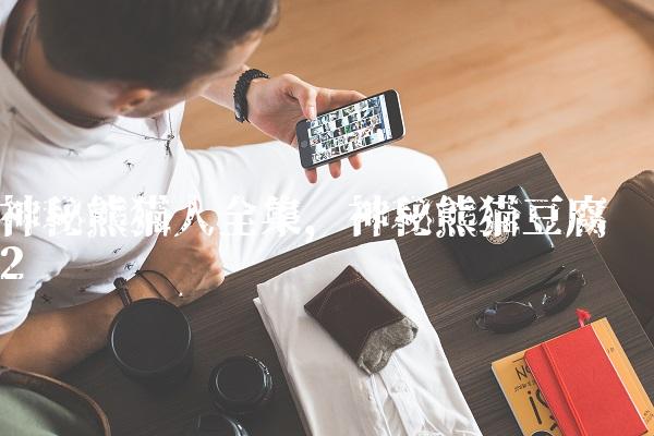 神秘熊猫人全集,神秘熊猫豆腐