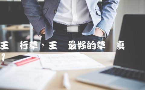 王铎行草,王铎最好的草书真迹