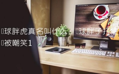 篮球胖虎真名叫什么,篮球胖子打控卫被嘲笑