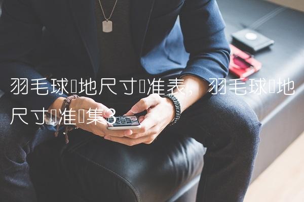 羽毛球场地尺寸标准表,羽毛球场地尺寸标准图集