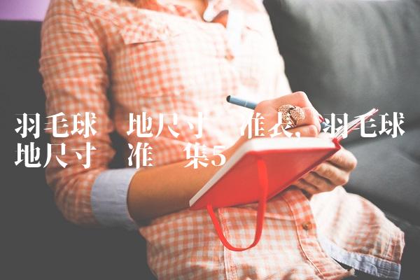 羽毛球场地尺寸标准表,羽毛球场地尺寸标准图集