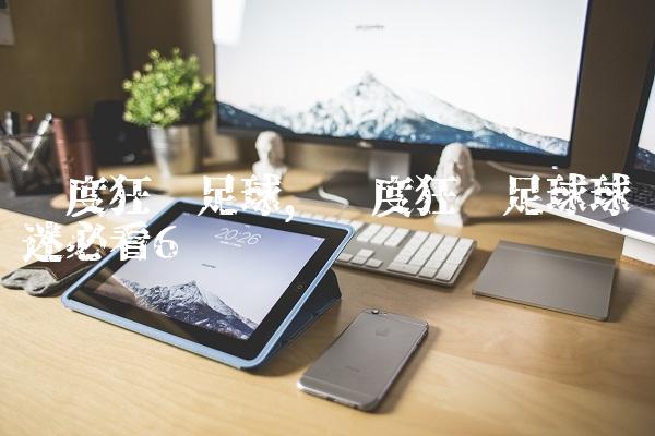 极度狂热足球,极度狂热足球球迷必看