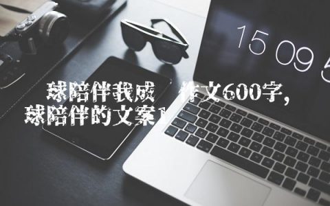 篮球陪伴我成长作文600字,篮球陪伴的文案