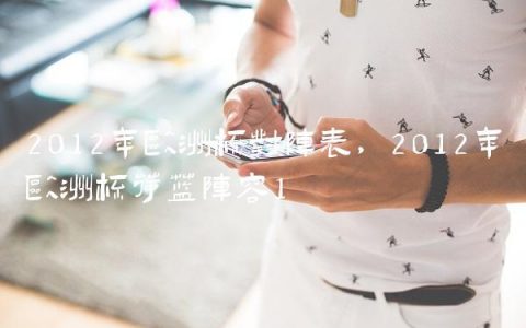 2012年欧洲杯对阵表,2012年欧洲杯荷兰阵容
