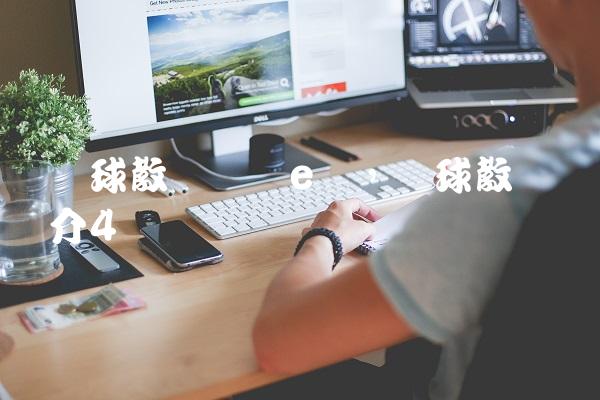 篮球教练员证e级,篮球教练简介