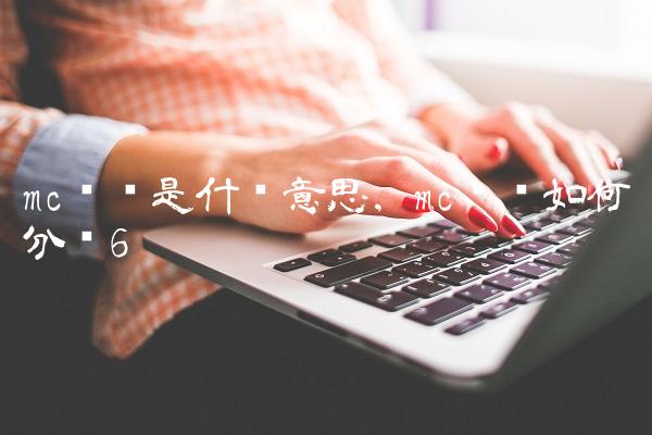 mc团队是什么意思,mc团队如何分组
