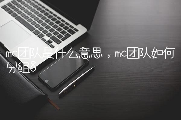 mc团队是什么意思,mc团队如何分组