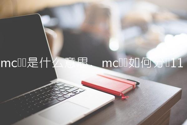 mc团队是什么意思,mc团队如何分组