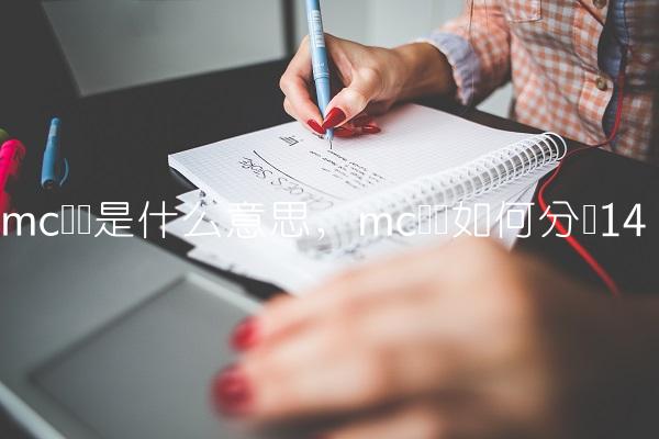 mc团队是什么意思,mc团队如何分组