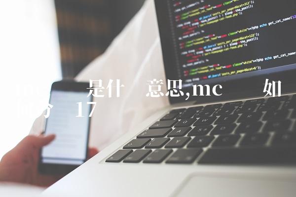 mc团队是什么意思,mc团队如何分组