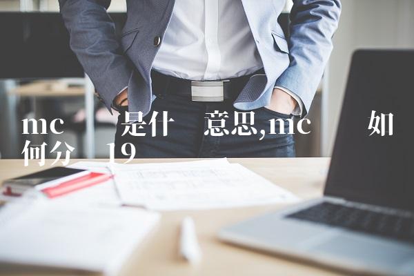 mc团队是什么意思,mc团队如何分组