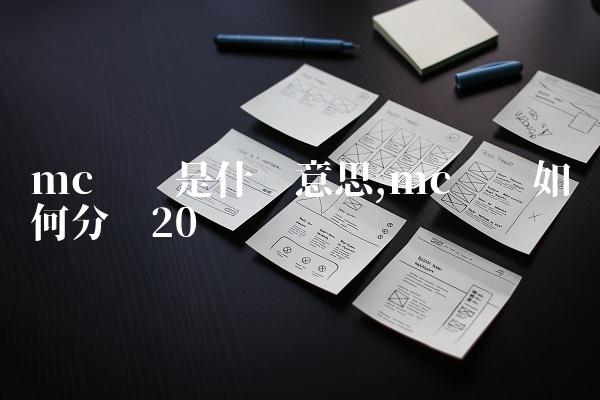 mc团队是什么意思,mc团队如何分组