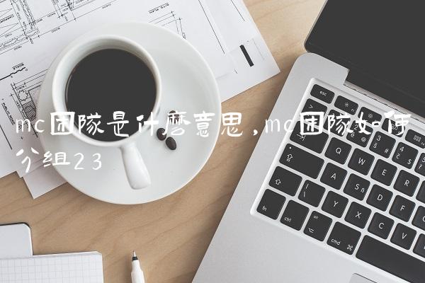 mc团队是什么意思,mc团队如何分组