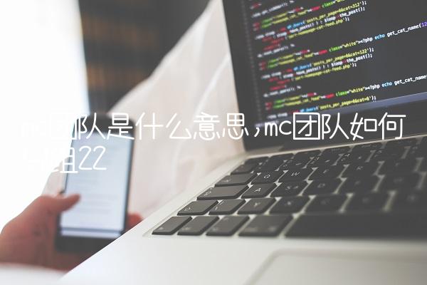 mc团队是什么意思,mc团队如何分组
