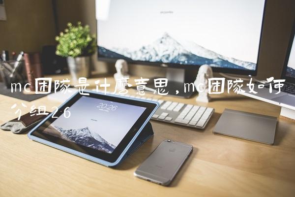 mc团队是什么意思,mc团队如何分组