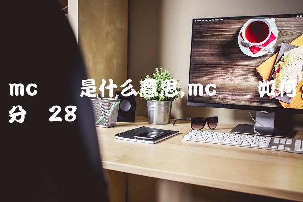 mc团队是什么意思,mc团队如何分组