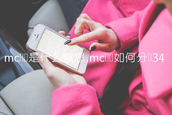 mc团队是什么意思,mc团队如何分组