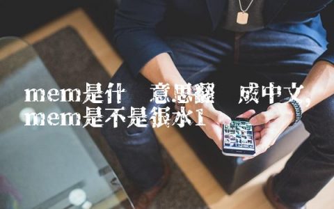 mem是什么意思翻译成中文,mem是不是很水