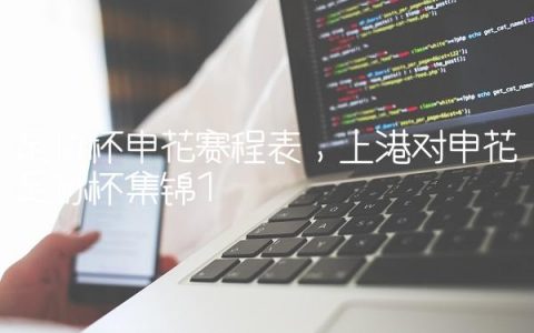 足协杯申花赛程表,上港对申花足协杯集锦
