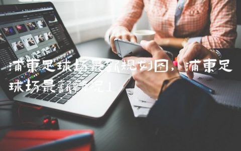 浦东足球场最新规划图,浦东足球场最新情况