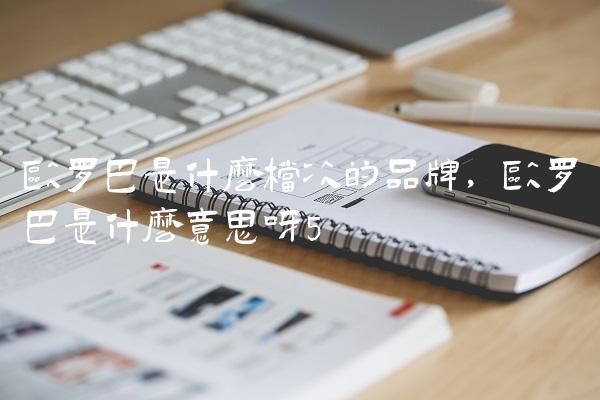欧罗巴是什么档次的品牌,欧罗巴是什么意思呀