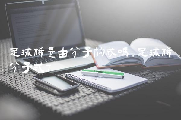 足球烯是由分子构成吗,足球烯分子式