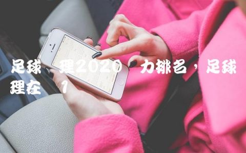 足球经理2020潜力排名,足球经理在线
