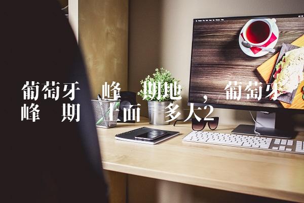 葡萄牙巅峰时期地图,葡萄牙巅峰时期领土面积多大
