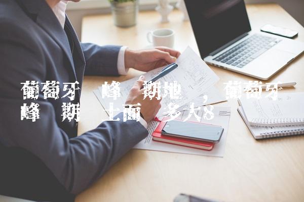 葡萄牙巅峰时期地图,葡萄牙巅峰时期领土面积多大