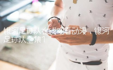 银河足球队在线观看动漫,银河足球队全集