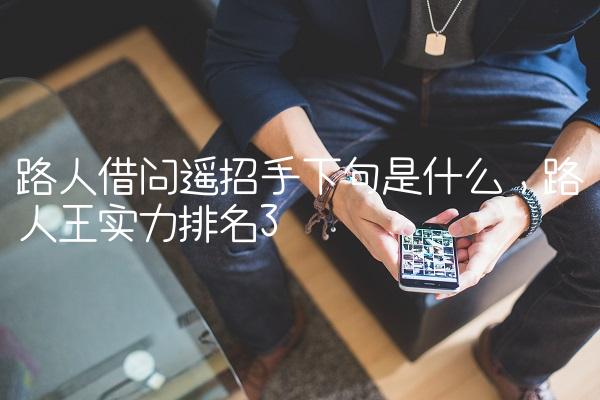 路人借问遥招手下句是什么,路人王实力排名