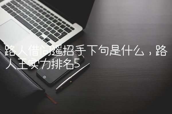 路人借问遥招手下句是什么,路人王实力排名