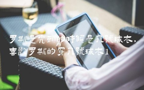 罗斯是光头的时候是几号球衣,喜欢罗斯的穿几号球衣