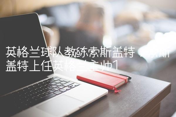 英格兰球队教练索斯盖特,索斯盖特上任英格兰主帅