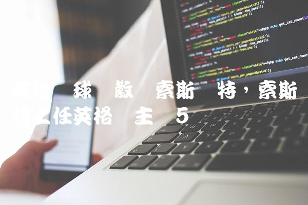 英格兰球队教练索斯盖特,索斯盖特上任英格兰主帅