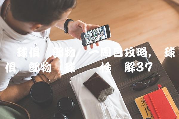 网球俱乐部物语一周目攻略,网球俱乐部物语球员属性详解