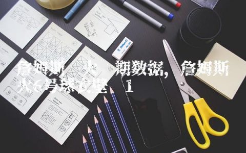 詹姆斯热火时期数据,詹姆斯热火6号球衣壁纸