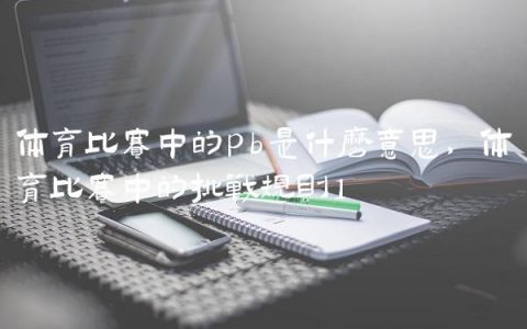 体育比赛中的pb是什么意思,体育比赛中的挑战规则
