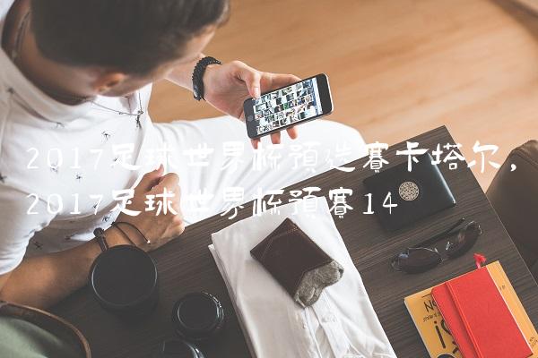 2017足球世界杯预选赛卡塔尔,2017足球世界杯预赛