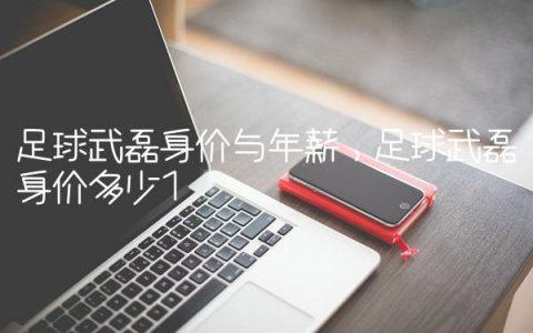 足球武磊身价与年薪,足球武磊身价多少