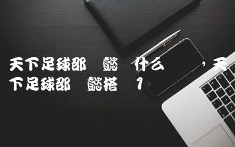 天下足球邵圣懿为什么离开,天下足球邵圣懿搭档