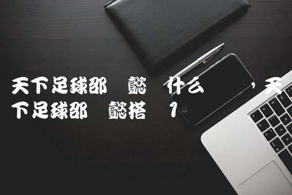 天下足球邵圣懿为什么离开,天下足球邵圣懿搭档